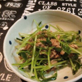 もう一品ほしい！簡単！豆苗とツナのサラダ！